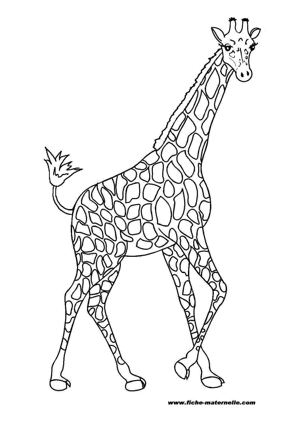 girafe coloriage