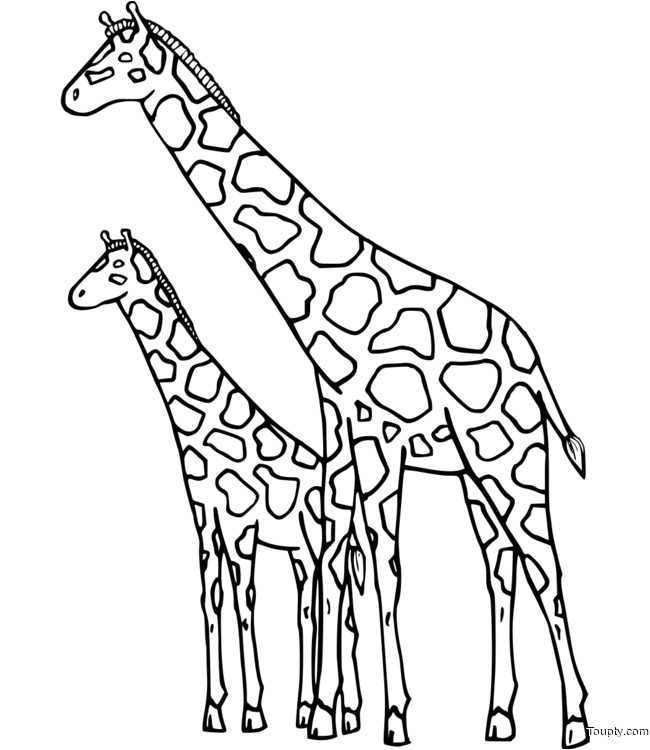 coloriage girafe num=3
