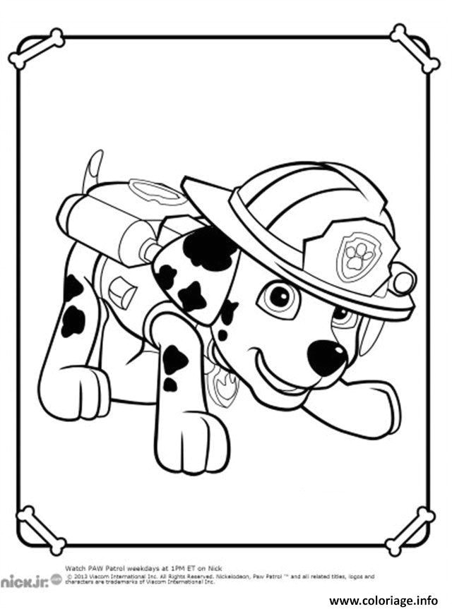 Coloriage Gulli A Imprimer Gratuit Coloriage Pat Patrouille Dalmatien Marcus Marshall En Mode