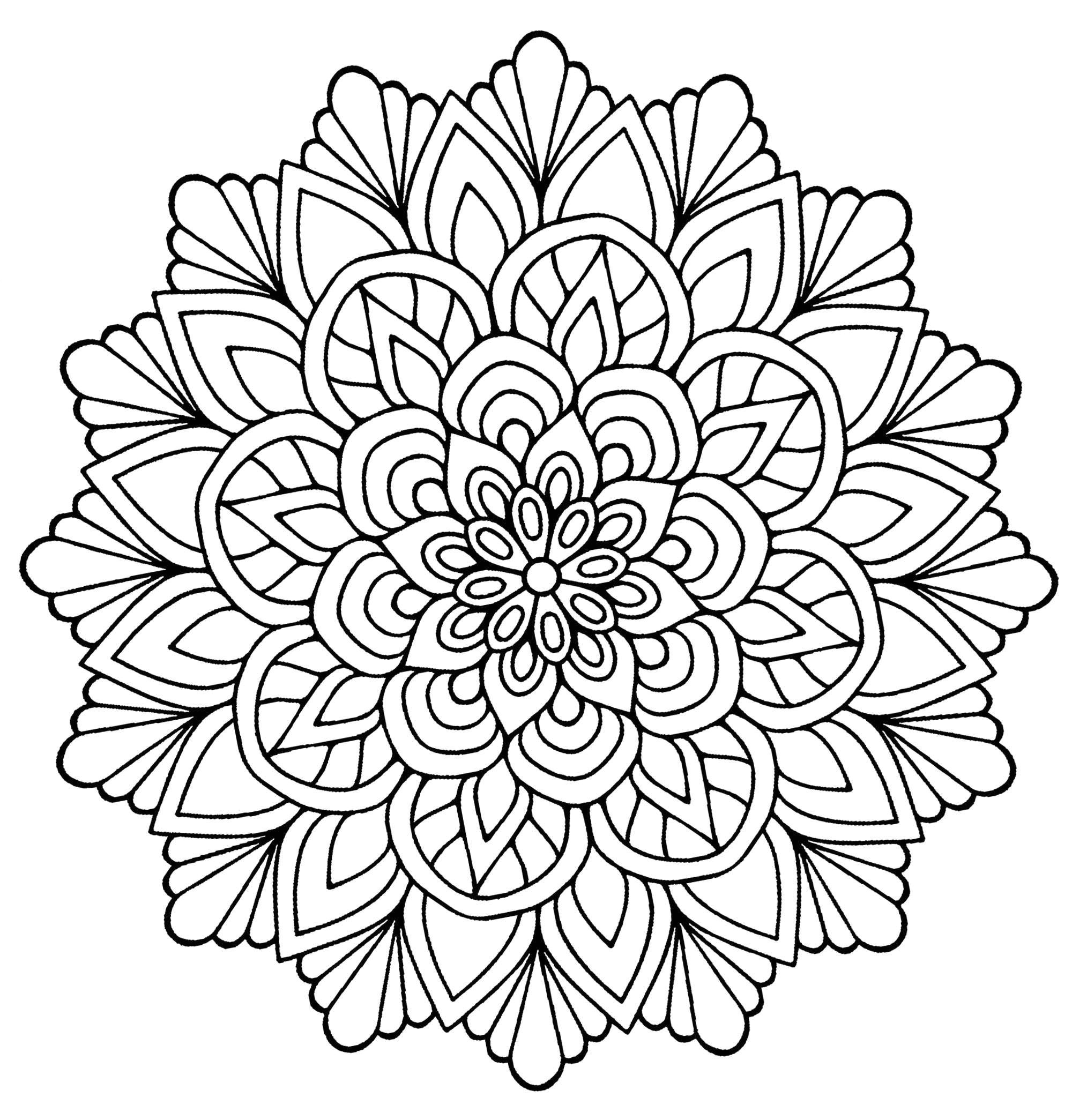 7953 lovely coloriage mandala fleur a imprimer 7481 fleurs et papillons coloriage dessin