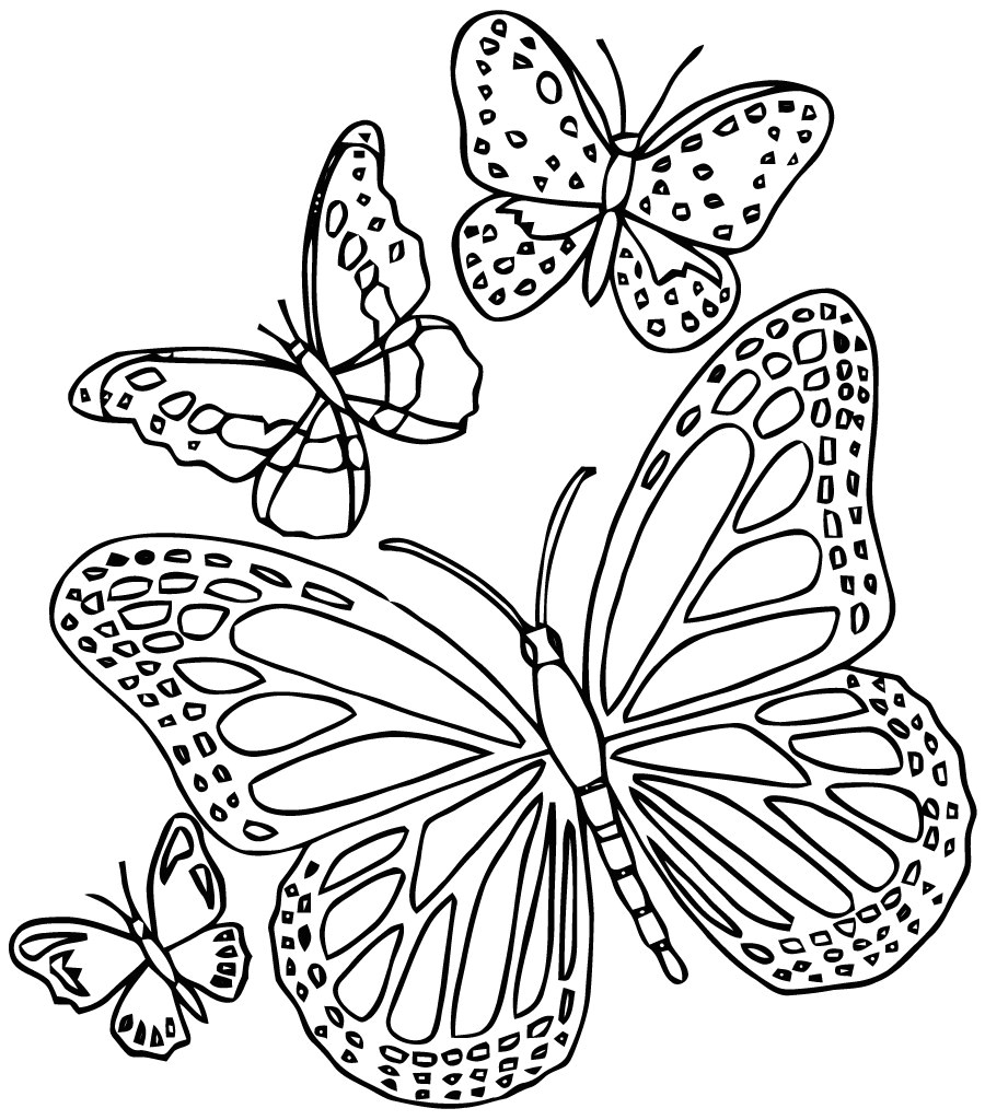 7236 mandalas papillon 18 mandalas coloriages a imprimer 4458 fleurs et papillons coloriage dessin
