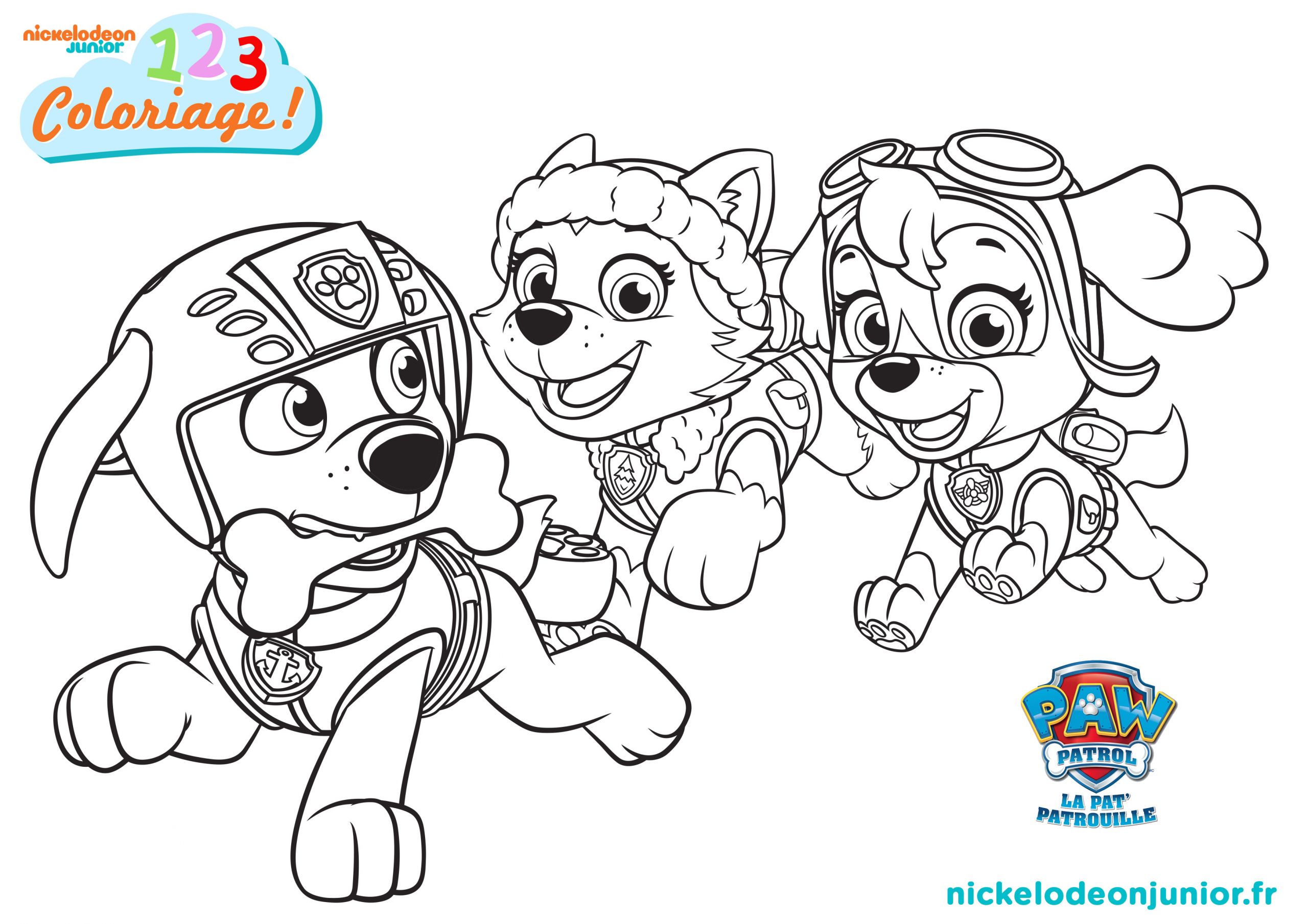 coloriages paw patrol3