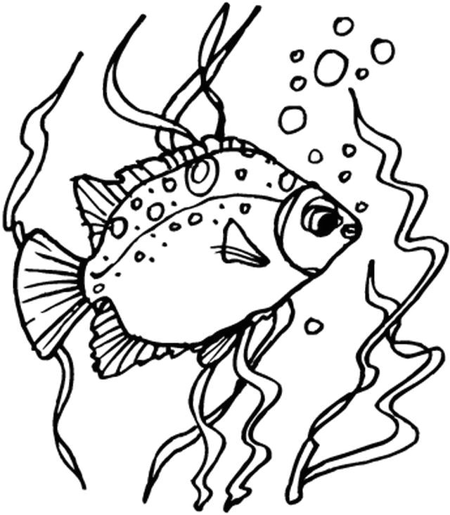 Coloriage Poisson Dans Un Bocal Poisson Coloriages Animaux Marins