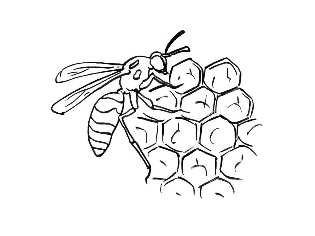8371 dessin abeille ruche yx19 7673 dessin ruche abeille coloriage