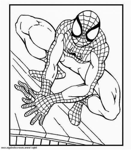 Coloriage Spider Man A Imprimer Spiderman Malvorlagen