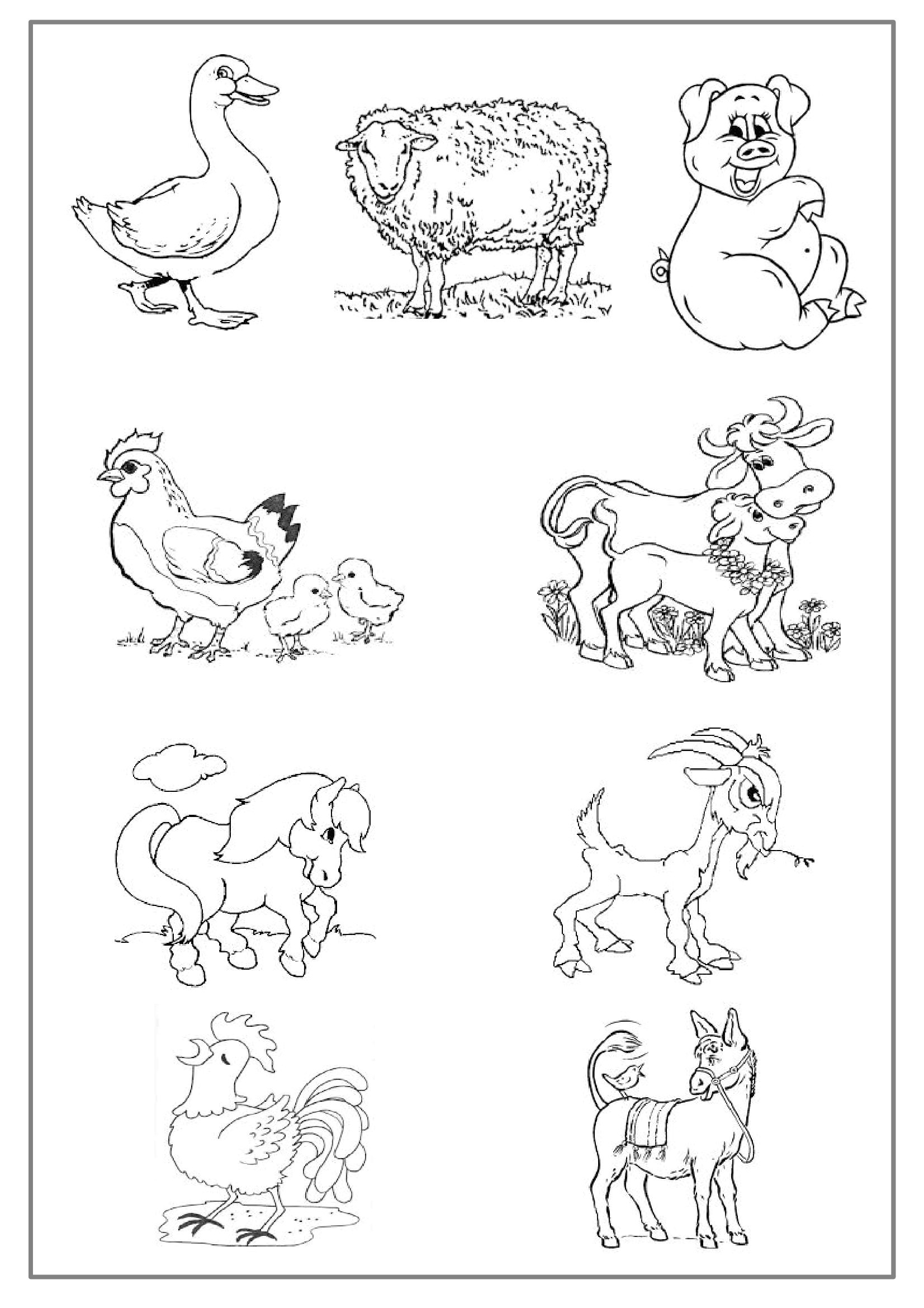 coloriages educatifs dessin animaux de la ferme a colorier