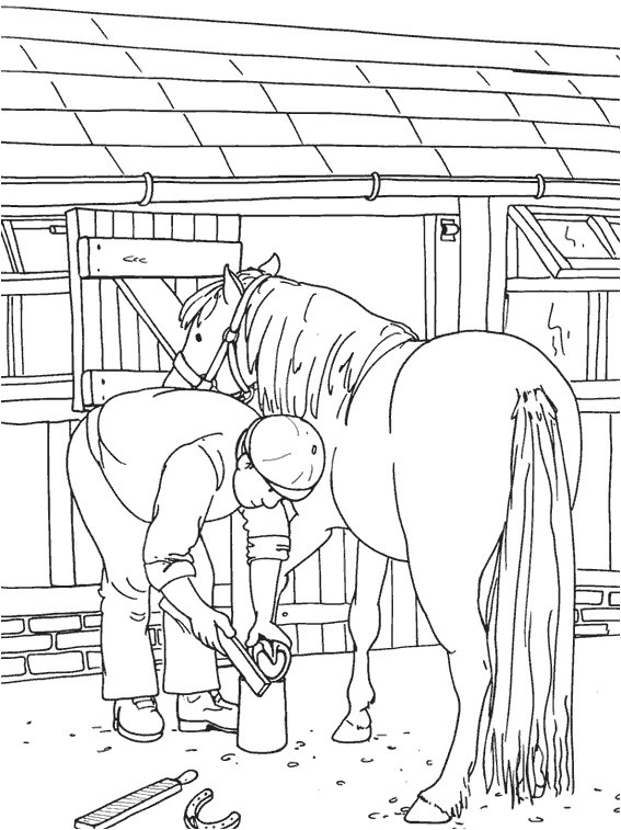 entretien des chevaux