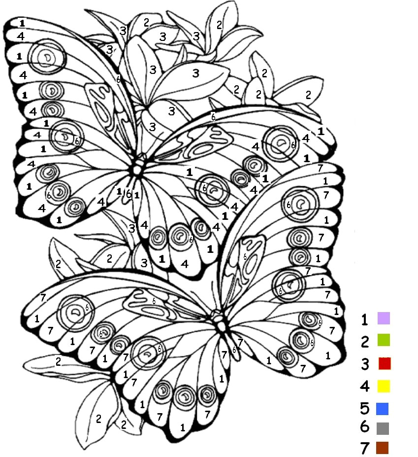 coloriage coloriage magique papillon