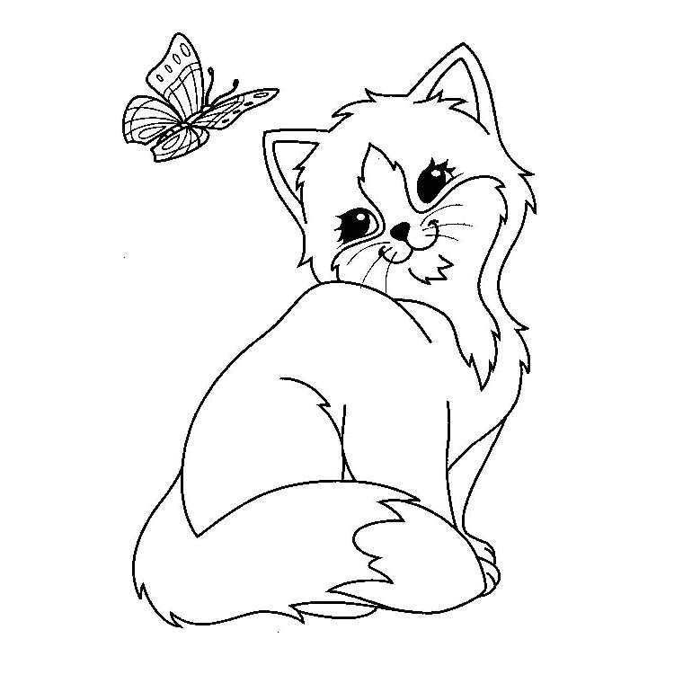 2817 coloriage chaton mignon a imprimer gratuit 7893 chaton chat mignon coloriage dessin
