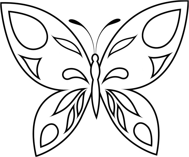 coloriage papillon2