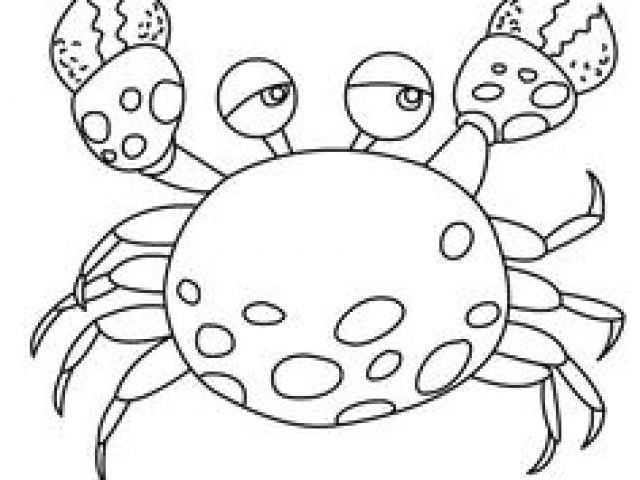 Coloriage Sur Ordinateur Animaux