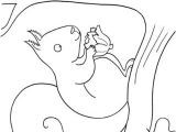 Coloriage Animaux De La forêt à Imprimer 38 Best Projet Animaux De La foret Maternelle Images On Pinterest