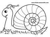 Coloriage Animaux De La forêt à Imprimer Coloriage Escargot Maternelle