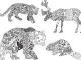 Coloriage Animaux Sauvages Difficile Coloriage Anti Stress Animaux Tigre