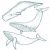 Coloriage Baleine à Bosse Les 15 Meilleures Images De Baleine Dessin