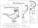 Coloriage Bébé T-rex 33 Best Projecte Dinosaures Images On Pinterest