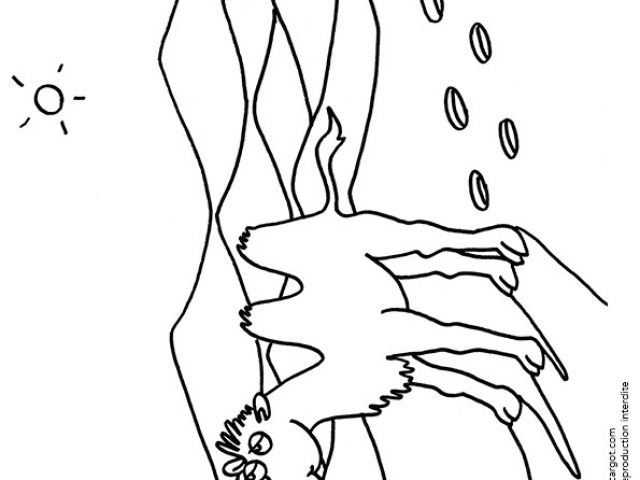 Coloriage Chameau Dans Le Desert