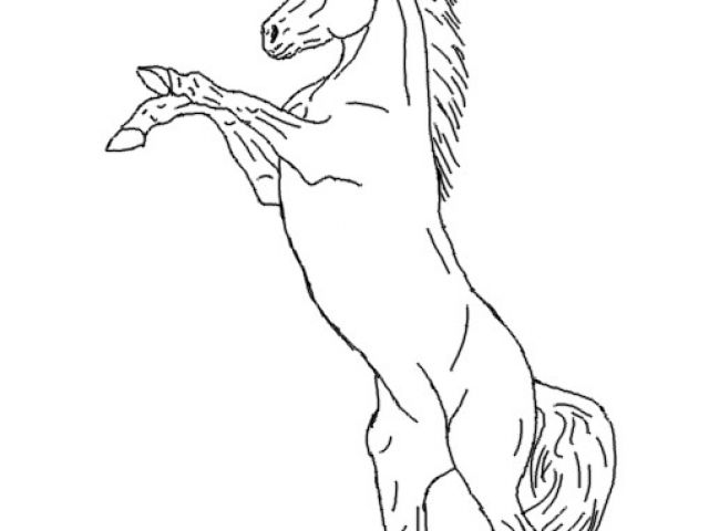 Coloriage Cheval Qui Se Cabre Coloriage A Imprimer Cheval Qui Saute