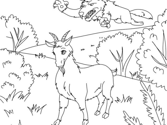 Coloriage Chevre Et Loup Coloriage Chevre Les Beaux Dessins De Imprimer