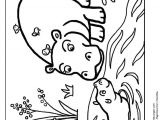 Coloriage D Animaux à Imprimer Gratuit 77 Best Coloriages De Bébés Animaux Images On Pinterest