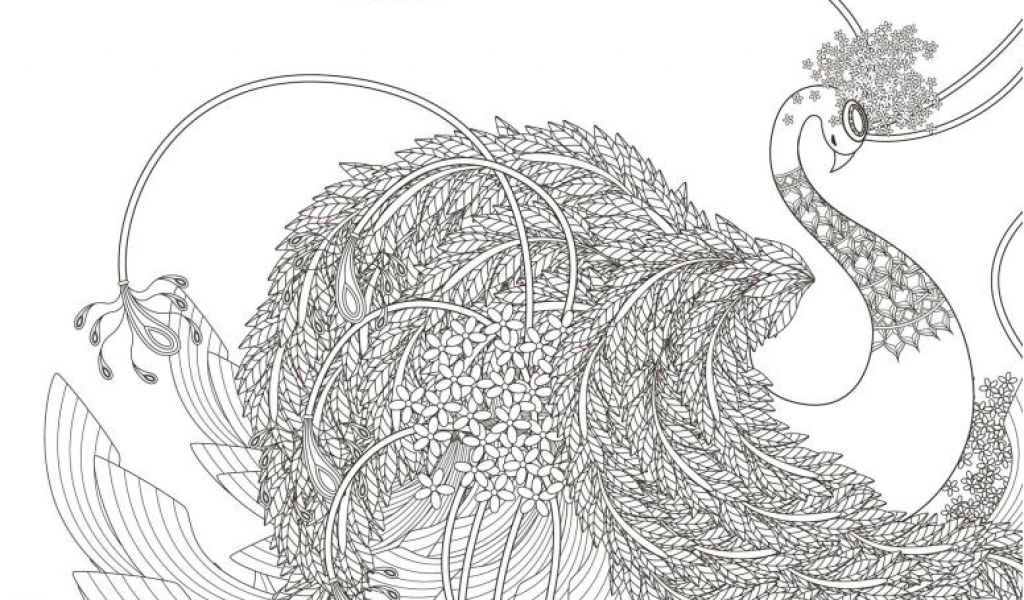 Coloriage De Batman Et Robin