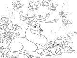 Coloriage De Biche A Imprimer Gratuit Coloriage Bambi Les Beaux Dessins De Disney   Imprimer Et Colorier