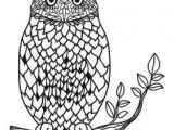 Coloriage De Chouette Ou Hibou 46 Best Coloriages De Hiboux Pour Adulte Owl Adult Coloring Pages