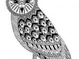 Coloriage De Chouette Ou Hibou 46 Best Coloriages De Hiboux Pour Adulte Owl Adult Coloring Pages