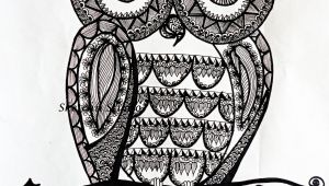 Coloriage De Chouette Ou Hibou Line Art Drawings Of Owls Uncategorized Drawing Art