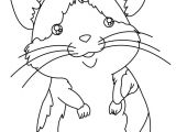 Coloriage De Hamster A Imprimer Coloriages De Hamsters Coloriages Coloriage   Imprimer Gratuit