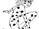 Coloriage De Miraculous Ladybug Et Chat Noir 67 Best Miraculous Images On Pinterest