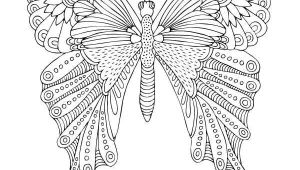 Coloriage De Papillon Gratuit épinglé Par Jean Sur Nature