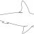 Coloriage De Requin Marteau Coloriage   Imprimer Un Requin Marteau Turbulus Jeux Pour Enfants