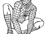 Coloriage De Spiderman à Imprimer Gratuit 20 Best Coloriages Spiderman Images On Pinterest