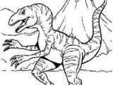 Coloriage Dinosaures En Ligne Gratuit à Imprimer Les 37 Meilleures Images De Dinosaures Coloriage