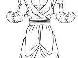 Coloriage Dragon Ball Z Sangoku Super Sayen 3 Goku Super Saiyan 4 Coloring Pages Images