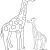 Coloriage Girafe à Imprimer Girafe Coloriage