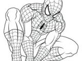 Coloriage Gratuit Spiderman à Imprimer Les 17 Meilleures Images De Spiderman