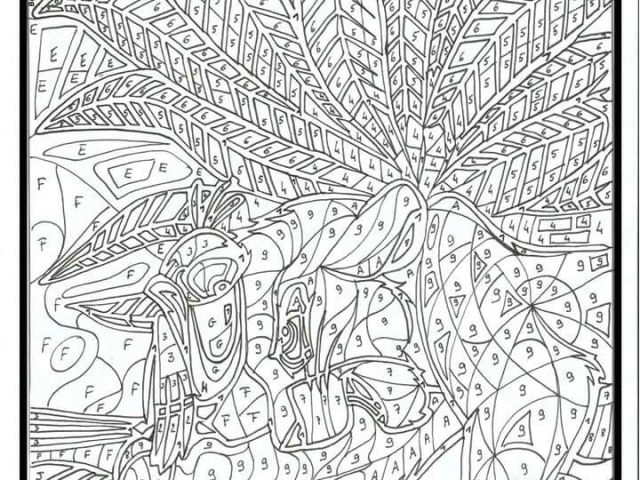 Coloriage Magique Adulte Gratuit Épinglé Sur Coloriages | danieguto.net