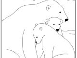 Coloriage Ours Blanc 304 Best Ours Images On Pinterest