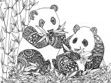 Coloriage Panda Roux Coloriage De Animaux Panda   Imprimer Par Chocobo Artherapie
