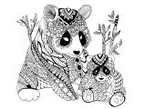 Coloriage Panda Roux Red Panda Coloring Pages Free Page at Mofassel