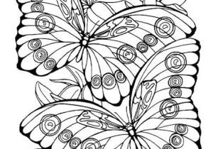 Coloriage Papillon à Imprimer Hugo L Escargot Coloriage Hugo L Escargot Papillon