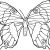 Coloriage Papillons A Imprimer Gratuit 87 Best Papillon Images On Pinterest