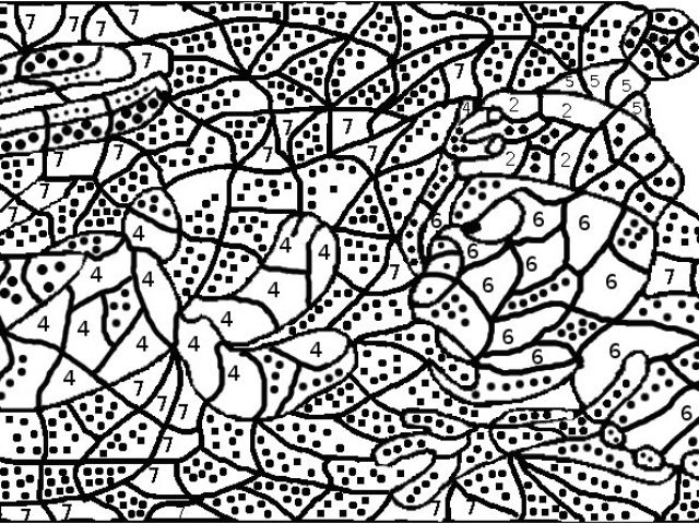 Coloriage Par Numero Pour Adulte En Ligne Coloriage Avec Numero Pour