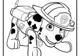 Coloriage Patte Patrouille Coloriage Pat Patrouille Dalmatien Marcus Marshall En Mode Pompier