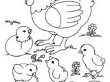 Coloriage Poule Et Poussins 2093 Meilleures Images Du Tableau Coloriage Pour Enfants