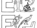 Coloriage Robin Des Bois Dessin Animé Les 71 Meilleures Images Du Tableau Coloriages Sur Pinterest