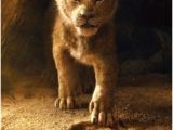 Coloriage Roi Lion En Ligne 14 Meilleures Images Du Tableau Roi Lion Simba