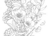 Coloriage Rosier What A Beautiful Flower Adult Coloring Page
